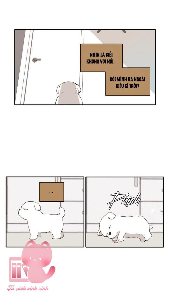A Good Day To Be A Dog Chapter 11 - Trang 2