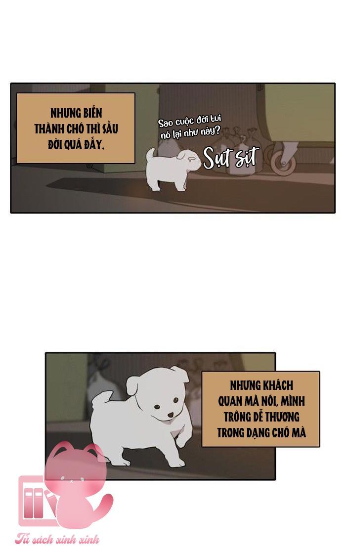 A Good Day To Be A Dog Chapter 3 - Trang 2