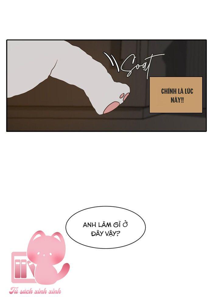 A Good Day To Be A Dog Chapter 4 - Trang 2