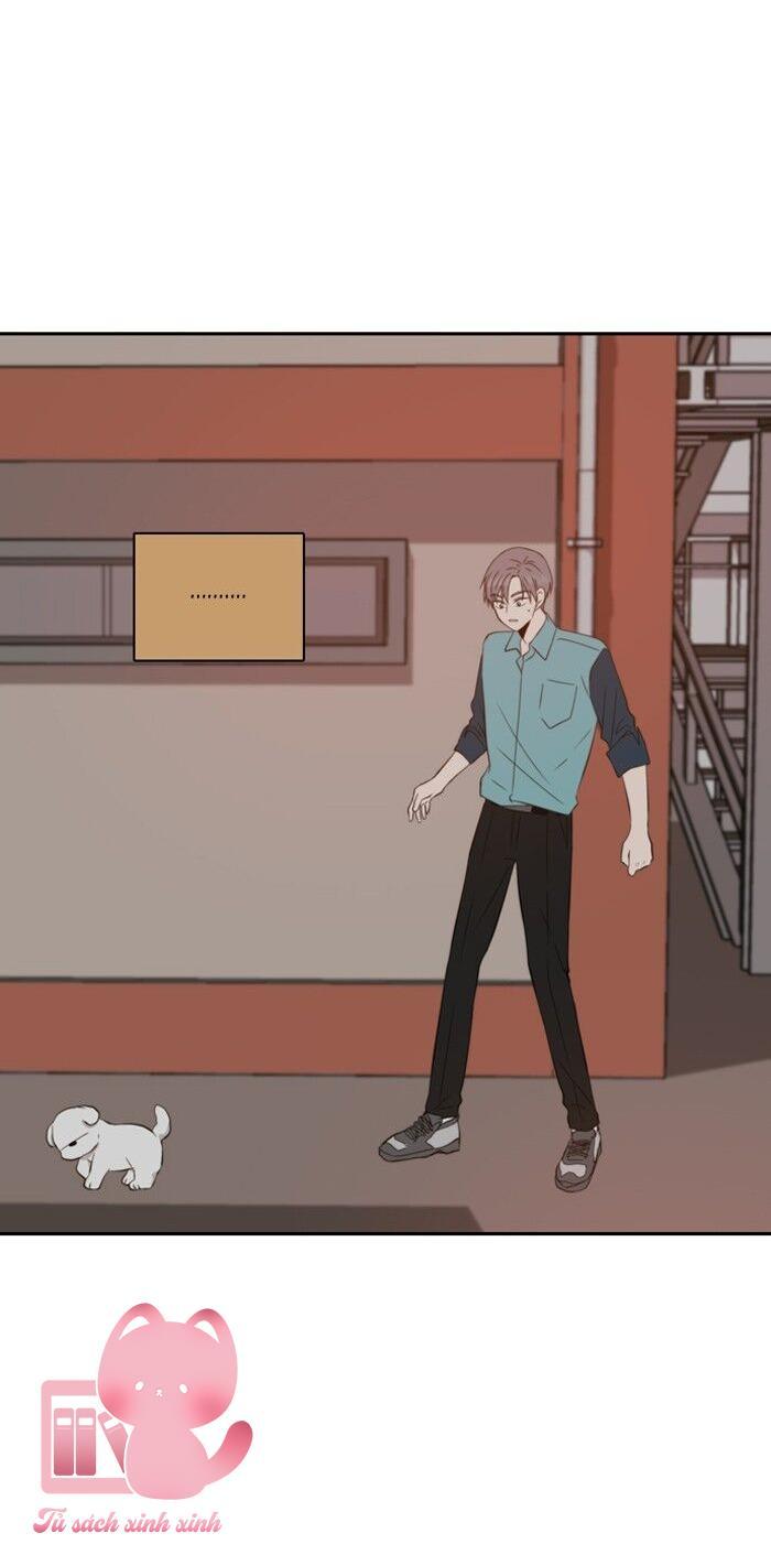 A Good Day To Be A Dog Chapter 45 - Trang 2