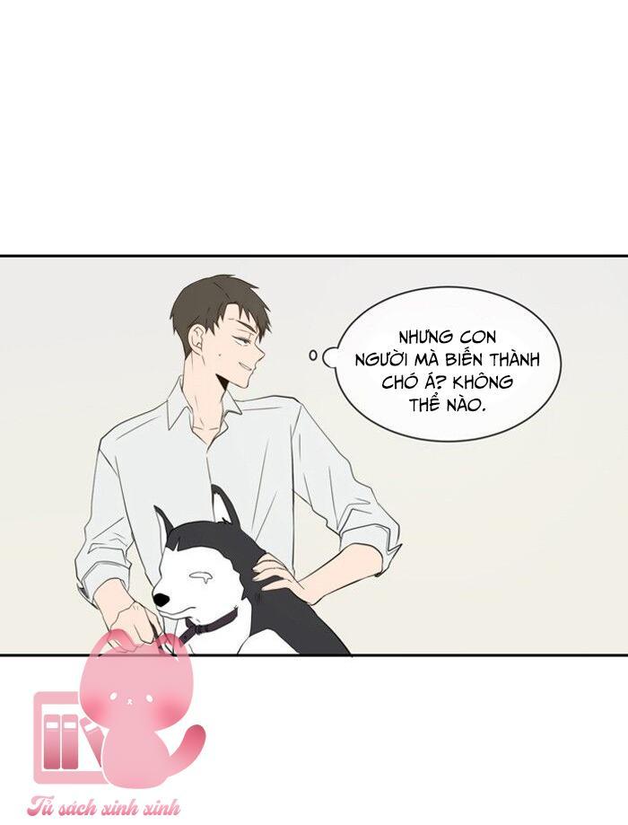 A Good Day To Be A Dog Chapter 49 - Trang 2