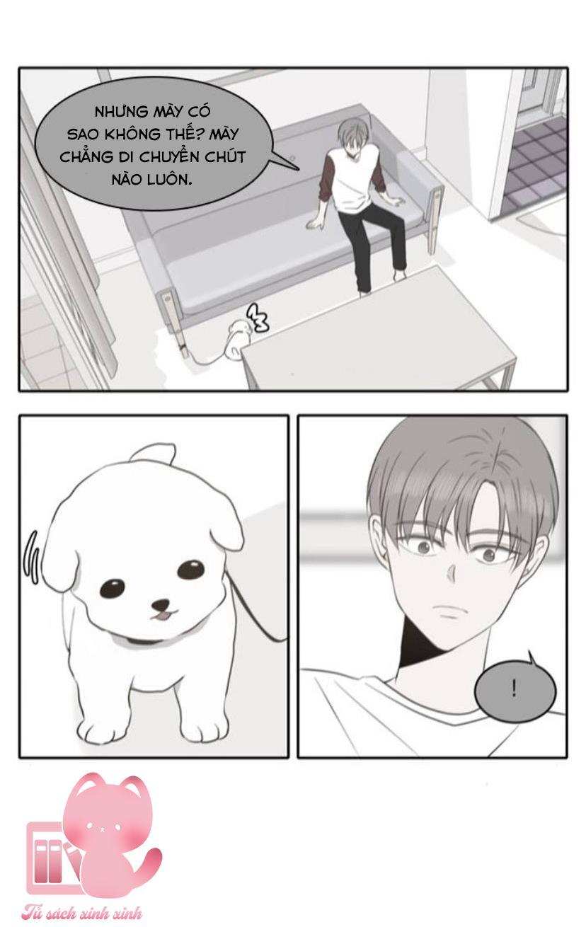 A Good Day To Be A Dog Chapter 59 - Trang 2