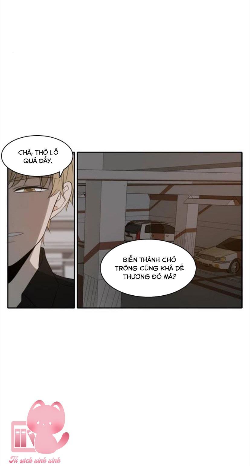 A Good Day To Be A Dog Chapter 71 - Trang 2