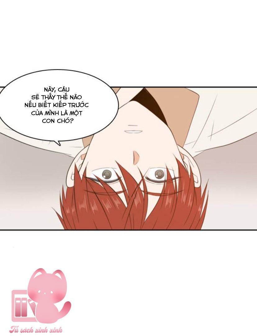 A Good Day To Be A Dog Chapter 78 - Trang 2