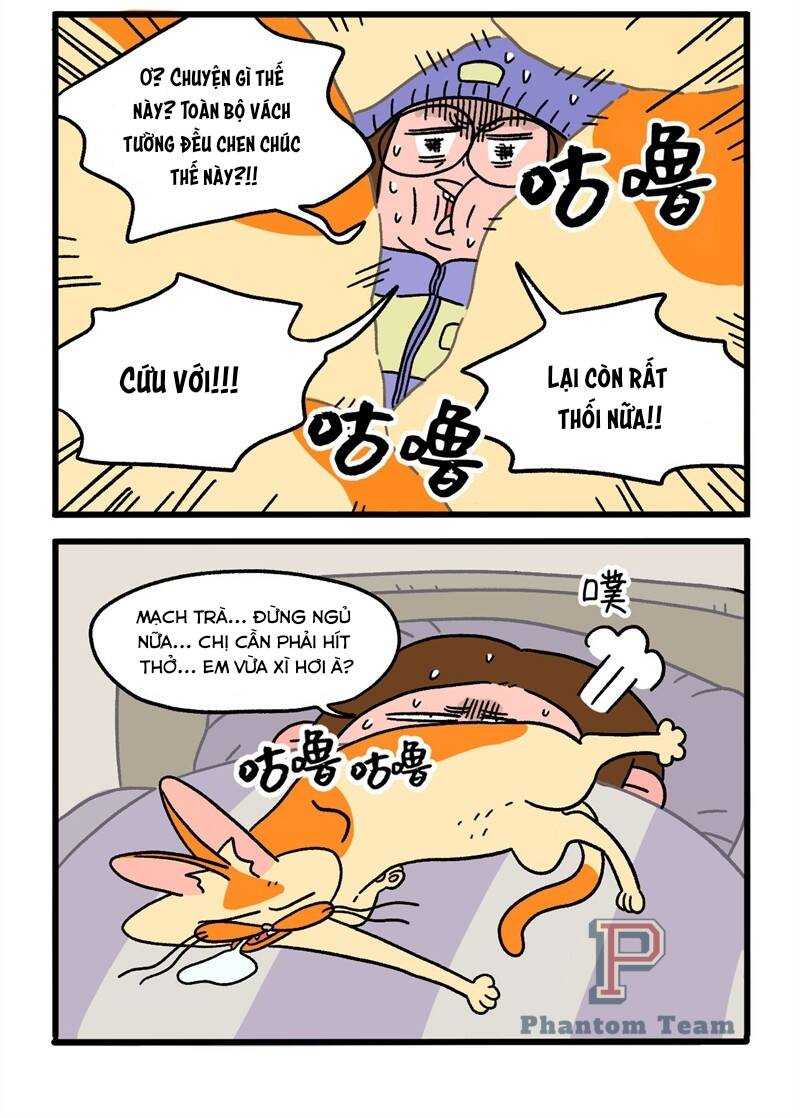 A Mãn Và Mạch Trà Chapter 11.1 - Trang 2