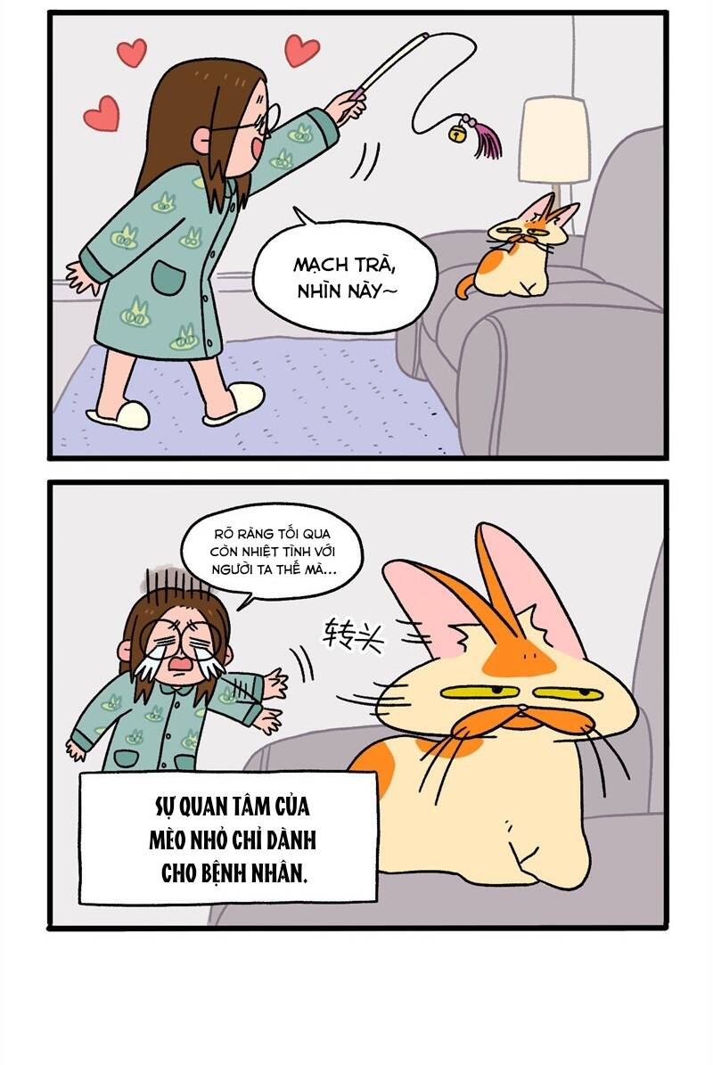A Mãn Và Mạch Trà Chapter 11.1 - Trang 2