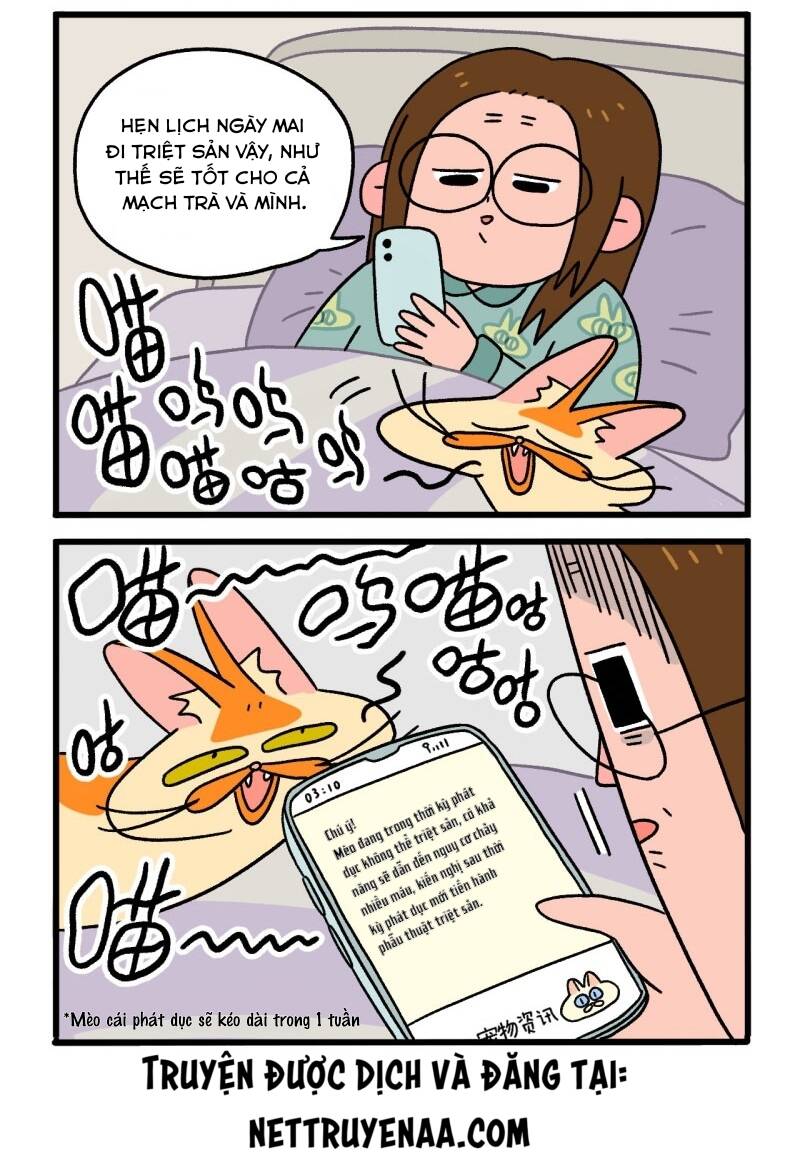 A Mãn Và Mạch Trà Chapter 12.1 - Trang 2