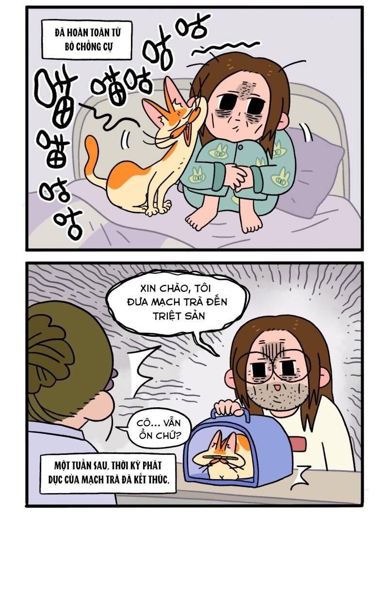 A Mãn Và Mạch Trà Chapter 12.1 - Trang 2