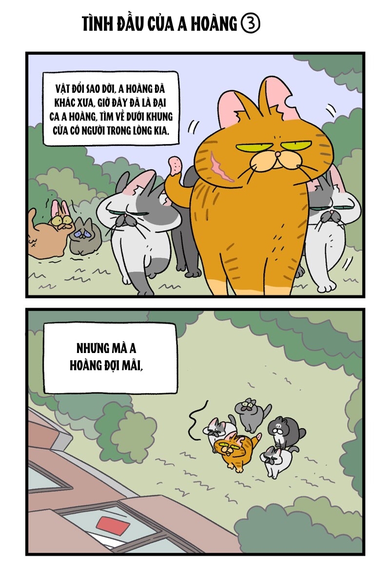 A Mãn Và Mạch Trà Chapter 18 - Trang 2