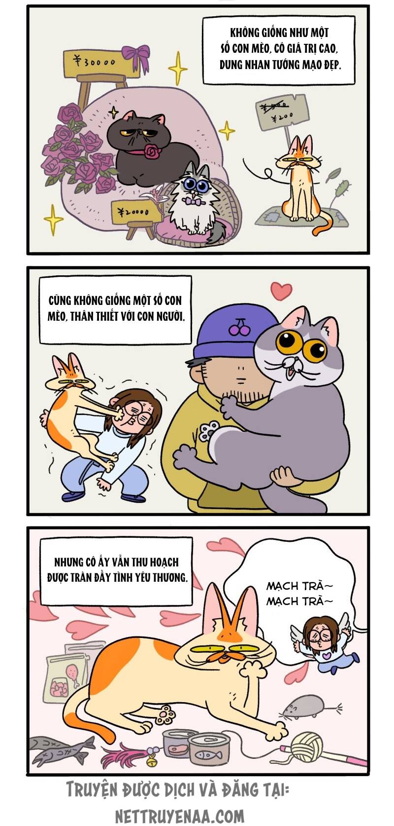 A Mãn Và Mạch Trà Chapter 2 - Trang 2