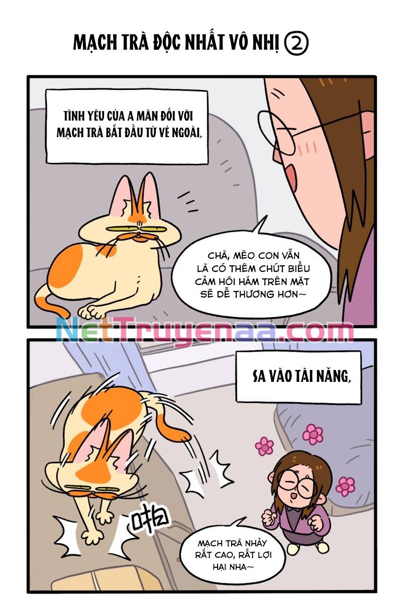 A Mãn Và Mạch Trà Chapter 2 - Trang 2