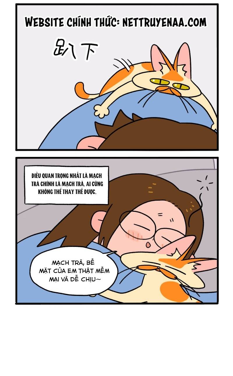 A Mãn Và Mạch Trà Chapter 2 - Trang 2