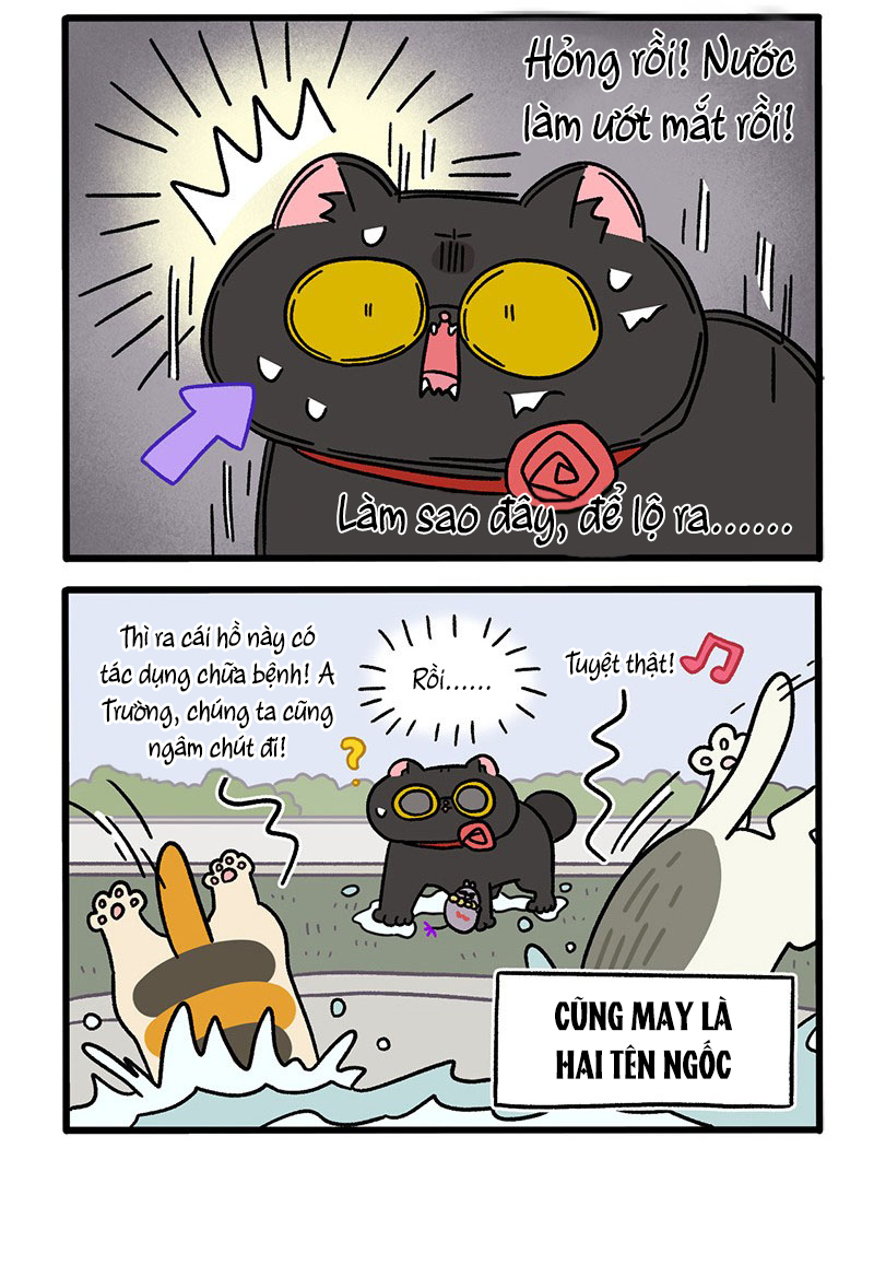 A Mãn Và Mạch Trà Chapter 41 - Trang 2