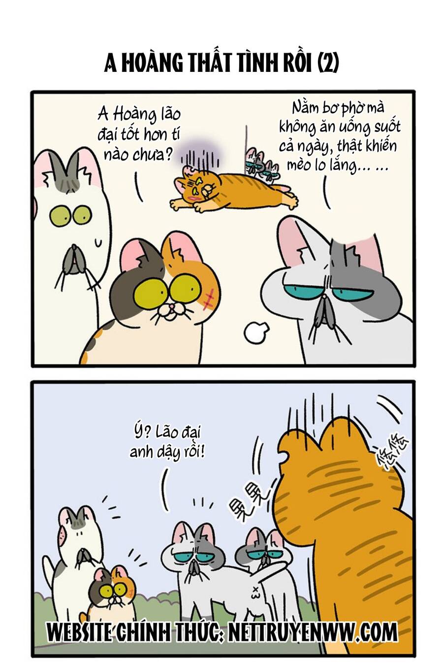 A Mãn Và Mạch Trà Chapter 46.1 - Trang 2