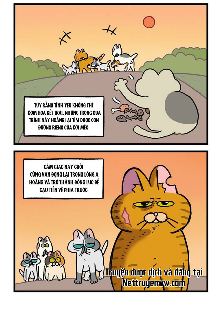 A Mãn Và Mạch Trà Chapter 46.1 - Trang 2