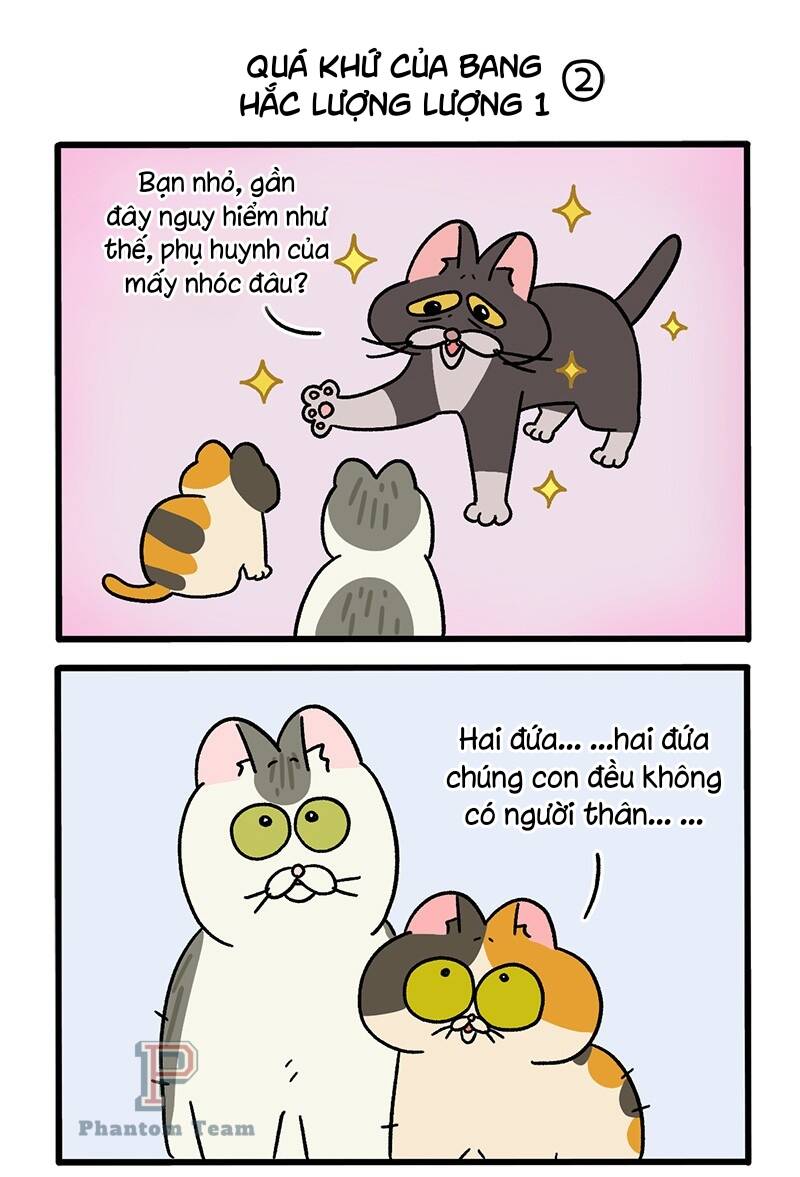 A Mãn Và Mạch Trà Chapter 50.4 - Trang 2
