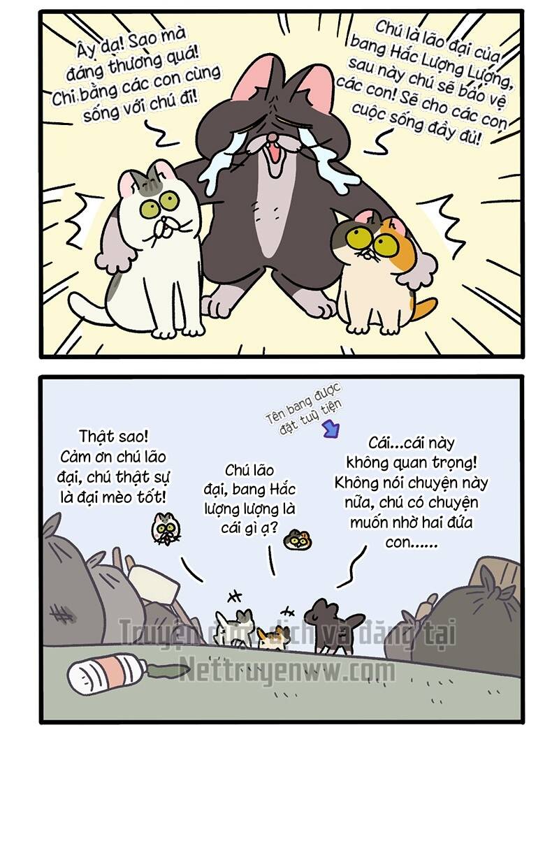 A Mãn Và Mạch Trà Chapter 50.4 - Trang 2