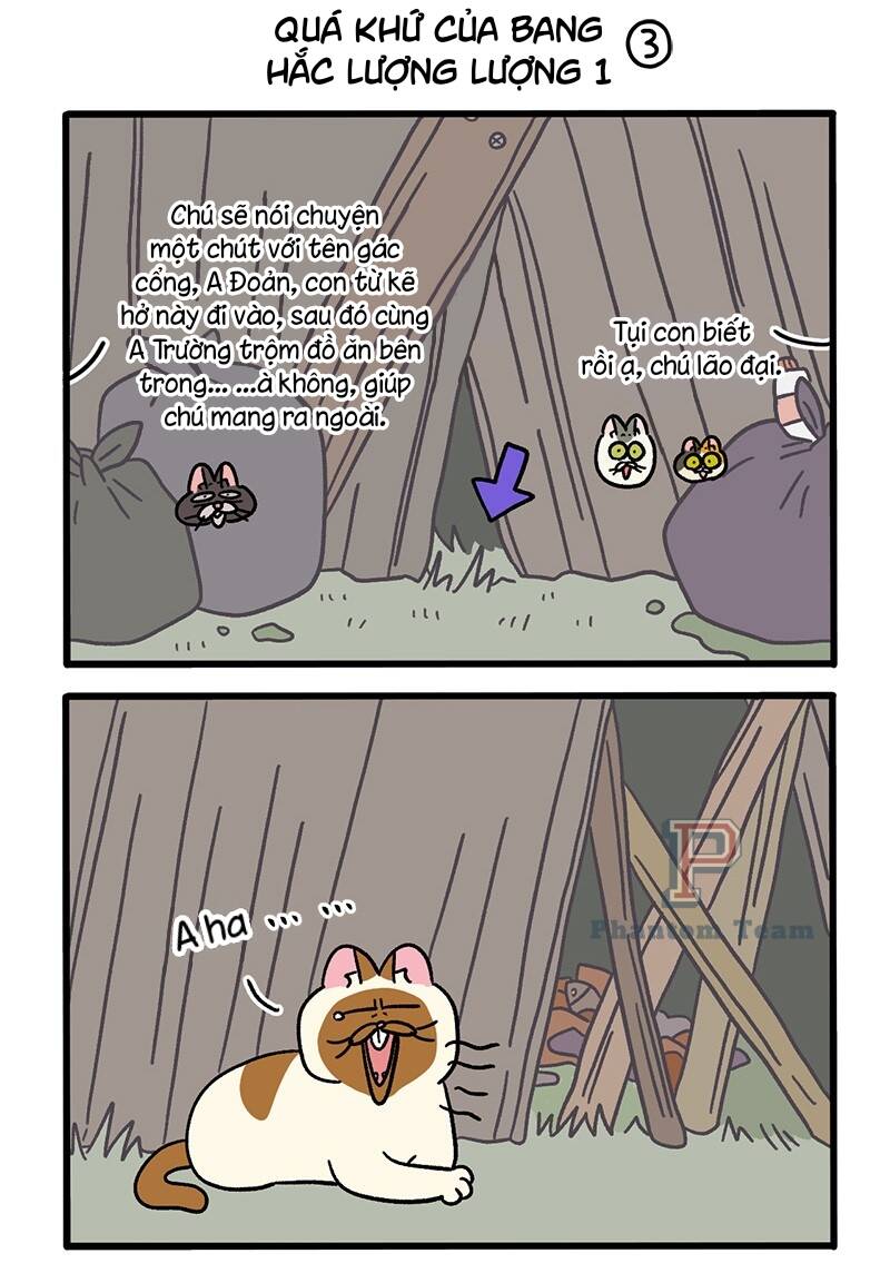 A Mãn Và Mạch Trà Chapter 50.4 - Trang 2