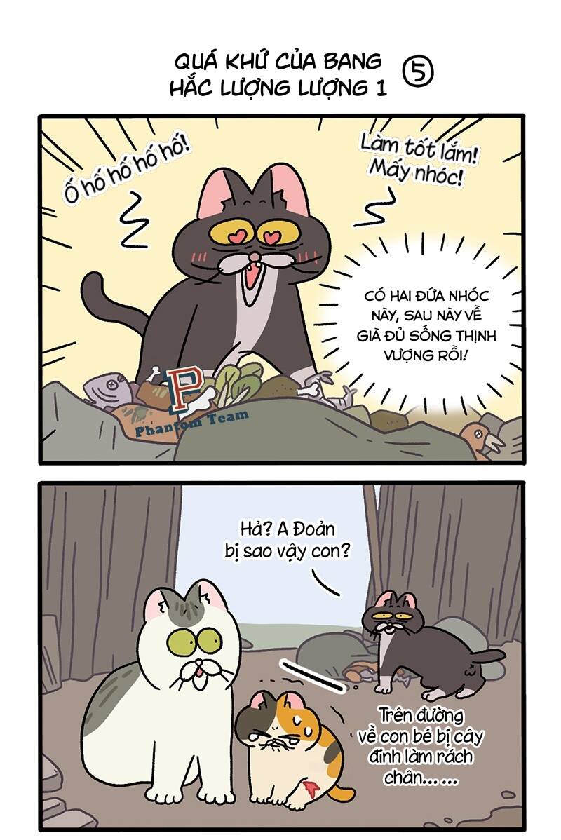 A Mãn Và Mạch Trà Chapter 50.5 - Trang 2