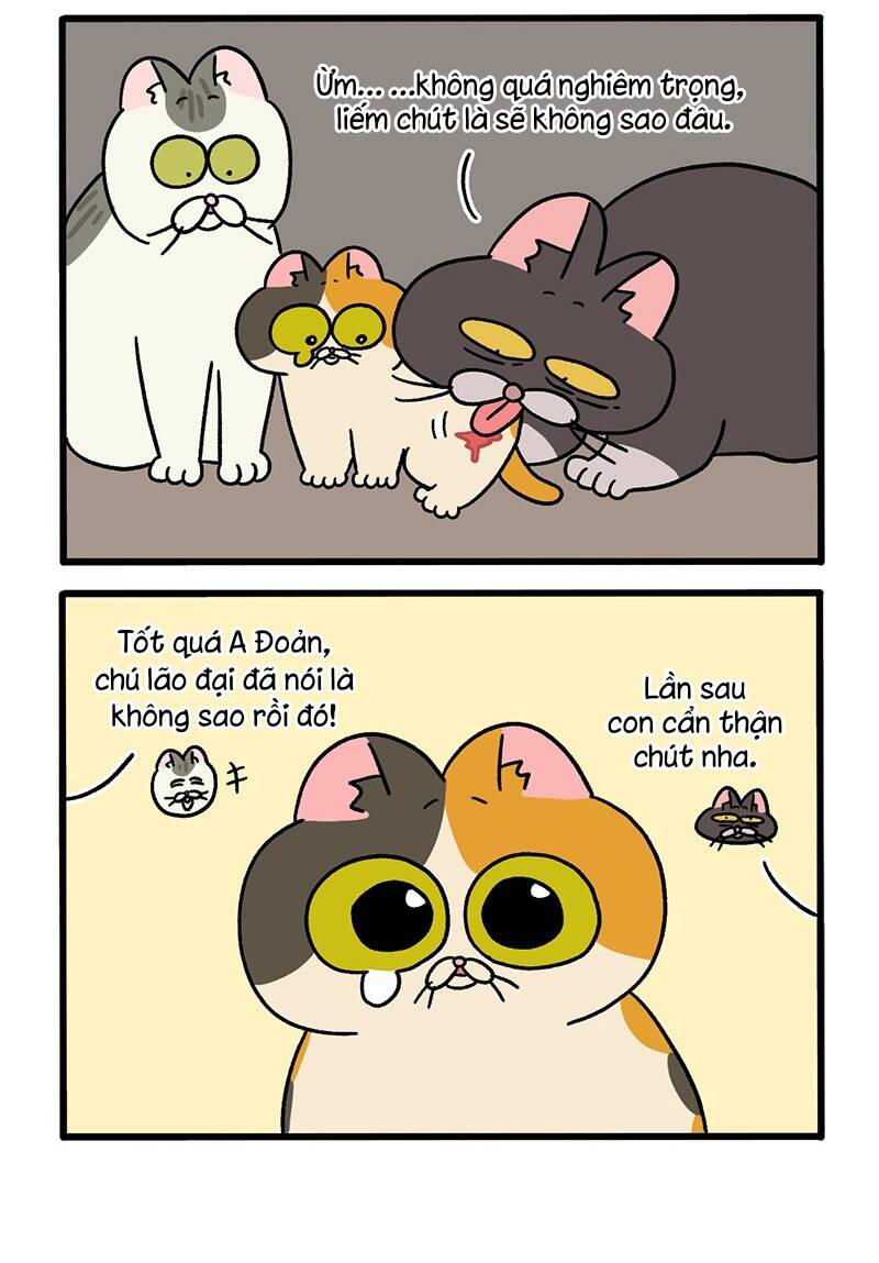 A Mãn Và Mạch Trà Chapter 50.5 - Trang 2