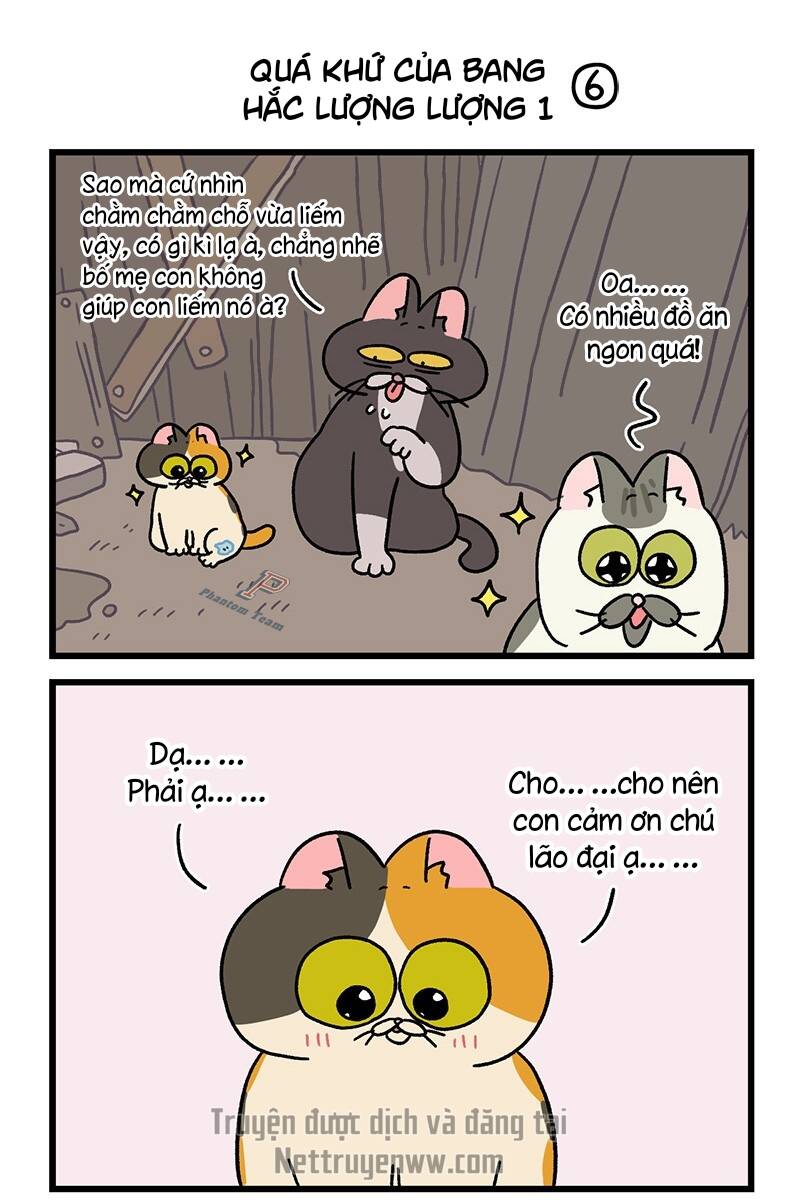 A Mãn Và Mạch Trà Chapter 50.5 - Trang 2