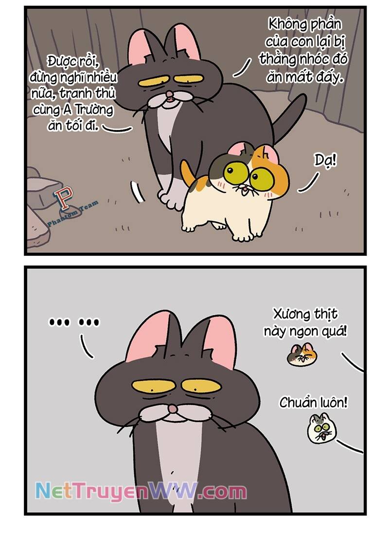 A Mãn Và Mạch Trà Chapter 50.5 - Trang 2