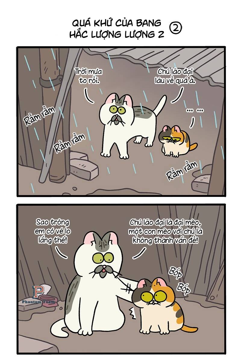 A Mãn Và Mạch Trà Chapter 50.6 - Trang 2