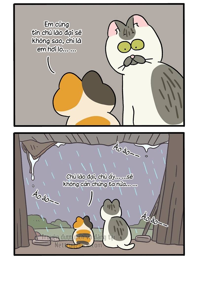 A Mãn Và Mạch Trà Chapter 50.6 - Trang 2