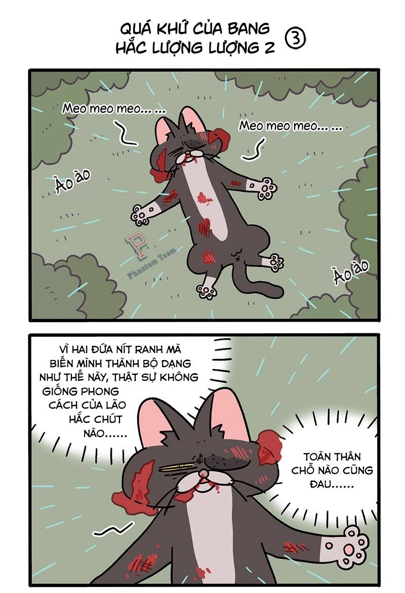 A Mãn Và Mạch Trà Chapter 50.6 - Trang 2