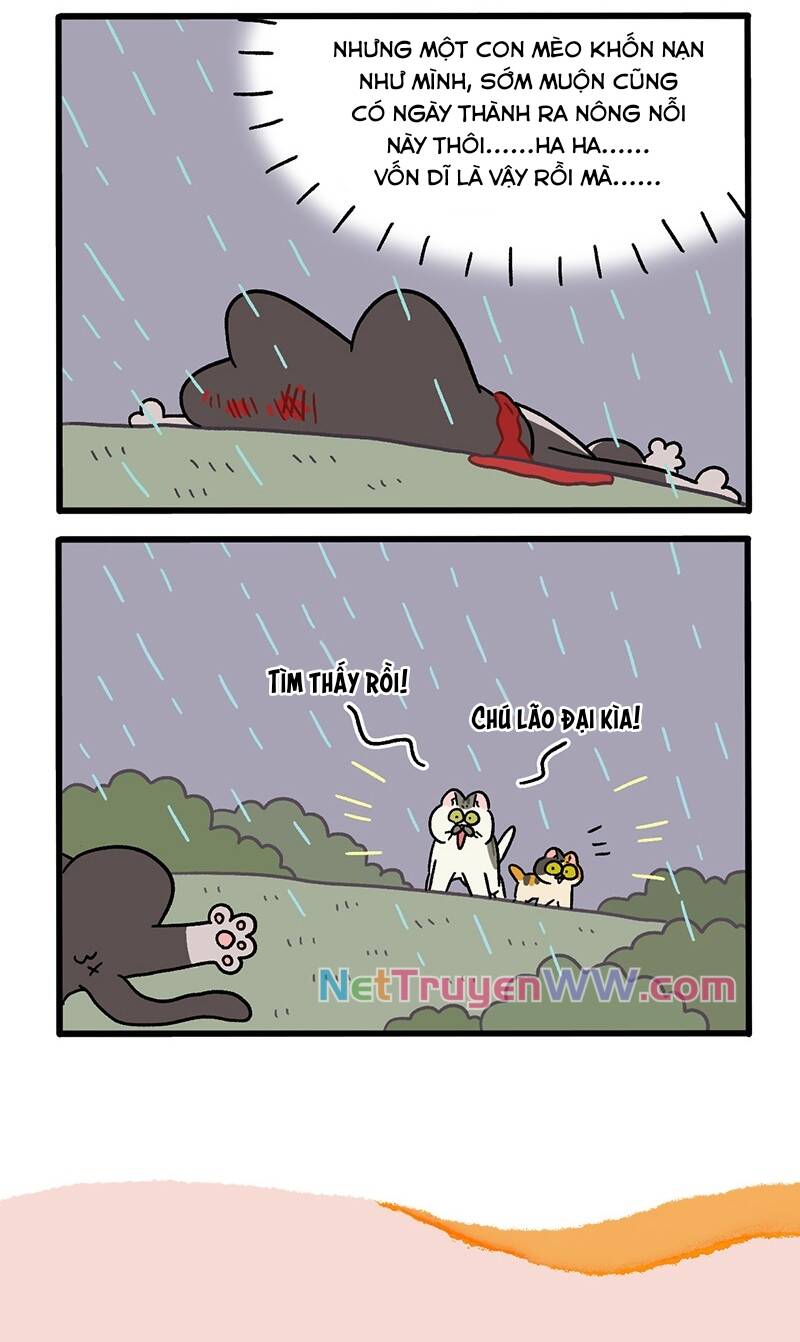 A Mãn Và Mạch Trà Chapter 50.6 - Trang 2