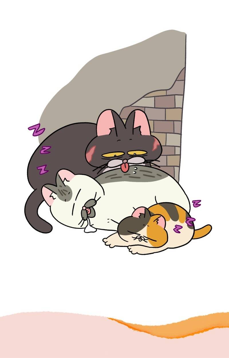 A Mãn Và Mạch Trà Chapter 50.7 - Trang 2