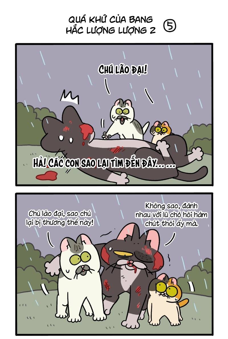 A Mãn Và Mạch Trà Chapter 50.7 - Trang 2