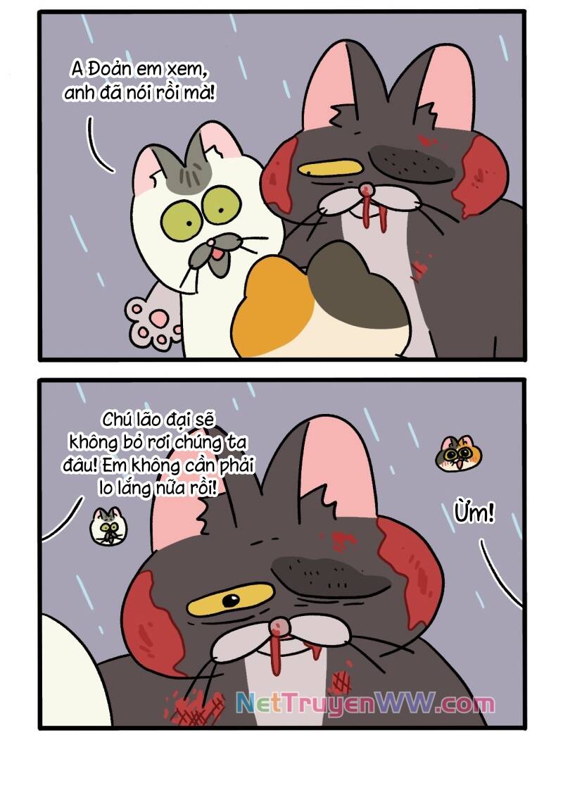A Mãn Và Mạch Trà Chapter 50.7 - Trang 2