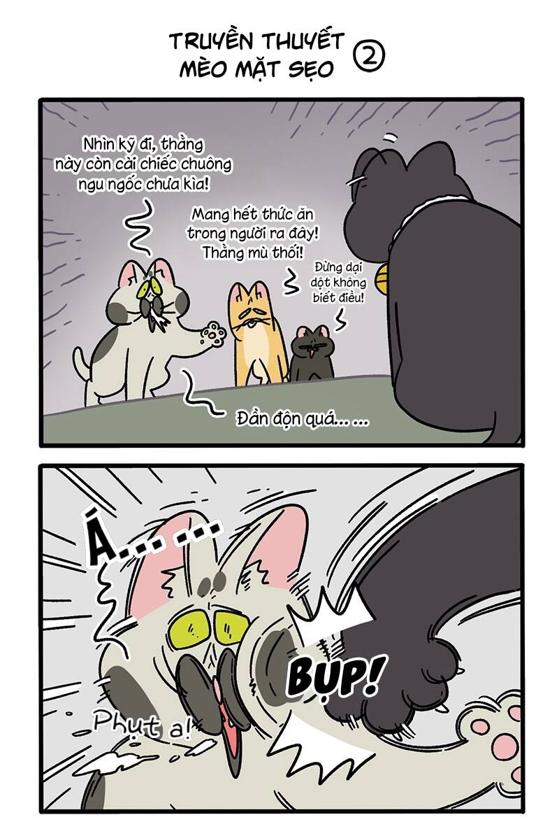 A Mãn Và Mạch Trà Chapter 50.8 - Trang 2