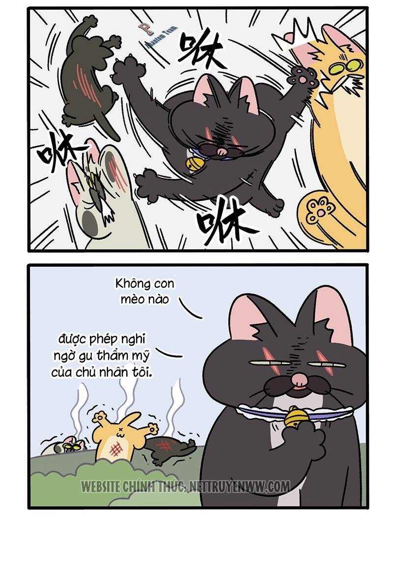 A Mãn Và Mạch Trà Chapter 50.8 - Trang 2