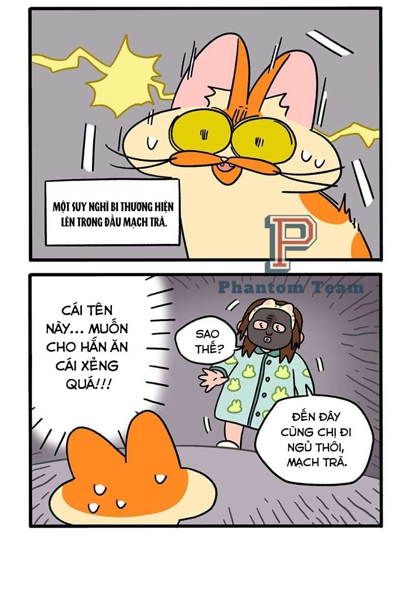 A Mãn Và Mạch Trà Chapter 52 - Trang 2