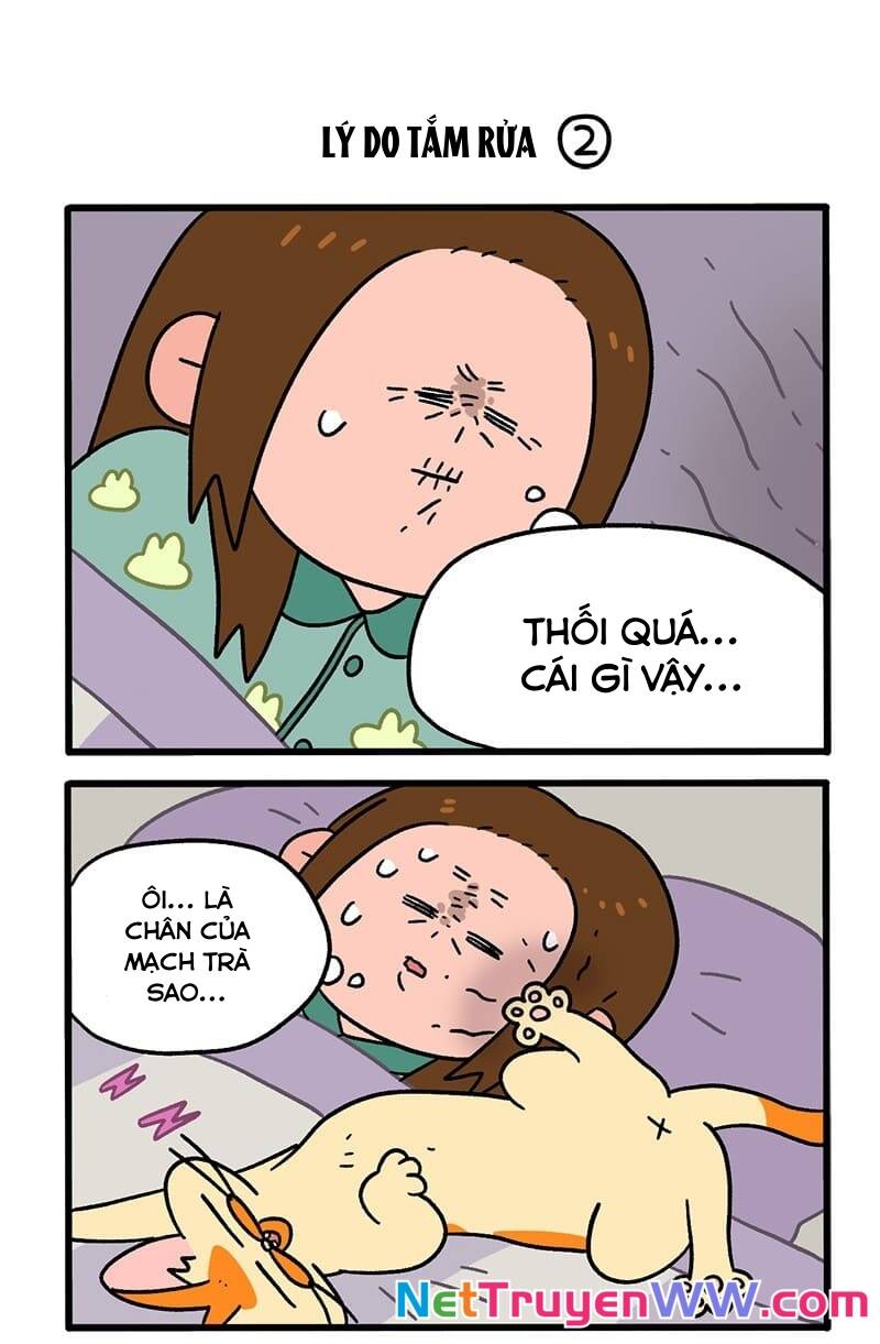 A Mãn Và Mạch Trà Chapter 55 - Trang 2