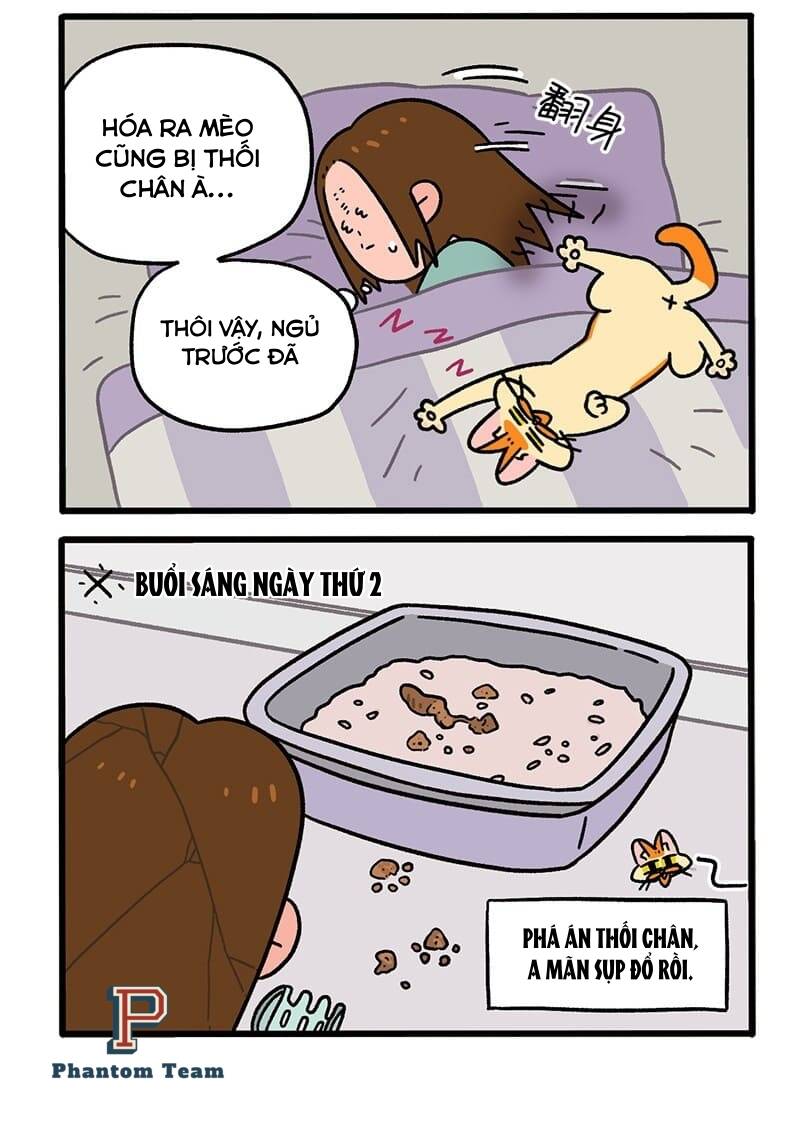 A Mãn Và Mạch Trà Chapter 55 - Trang 2