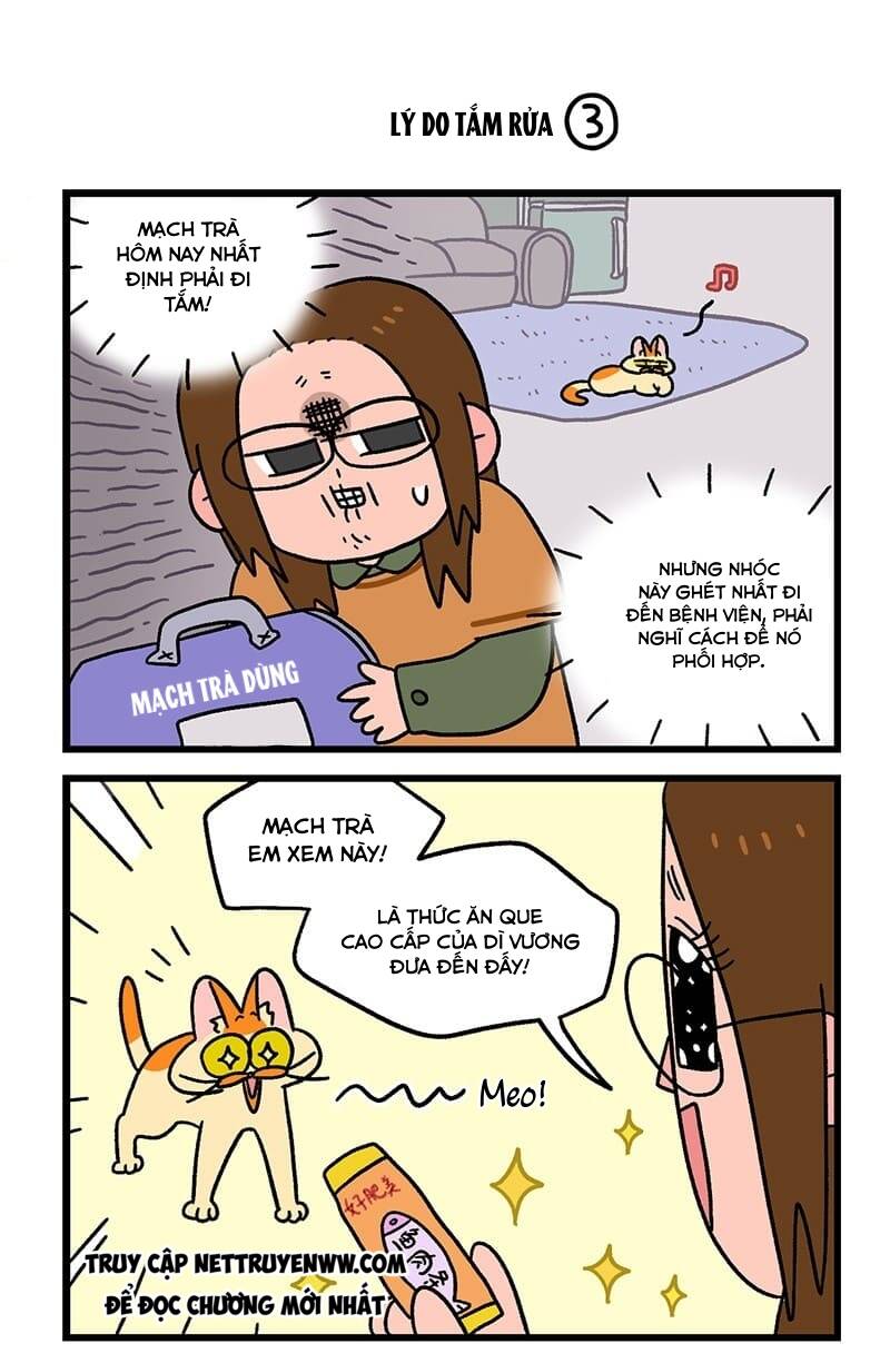 A Mãn Và Mạch Trà Chapter 55 - Trang 2