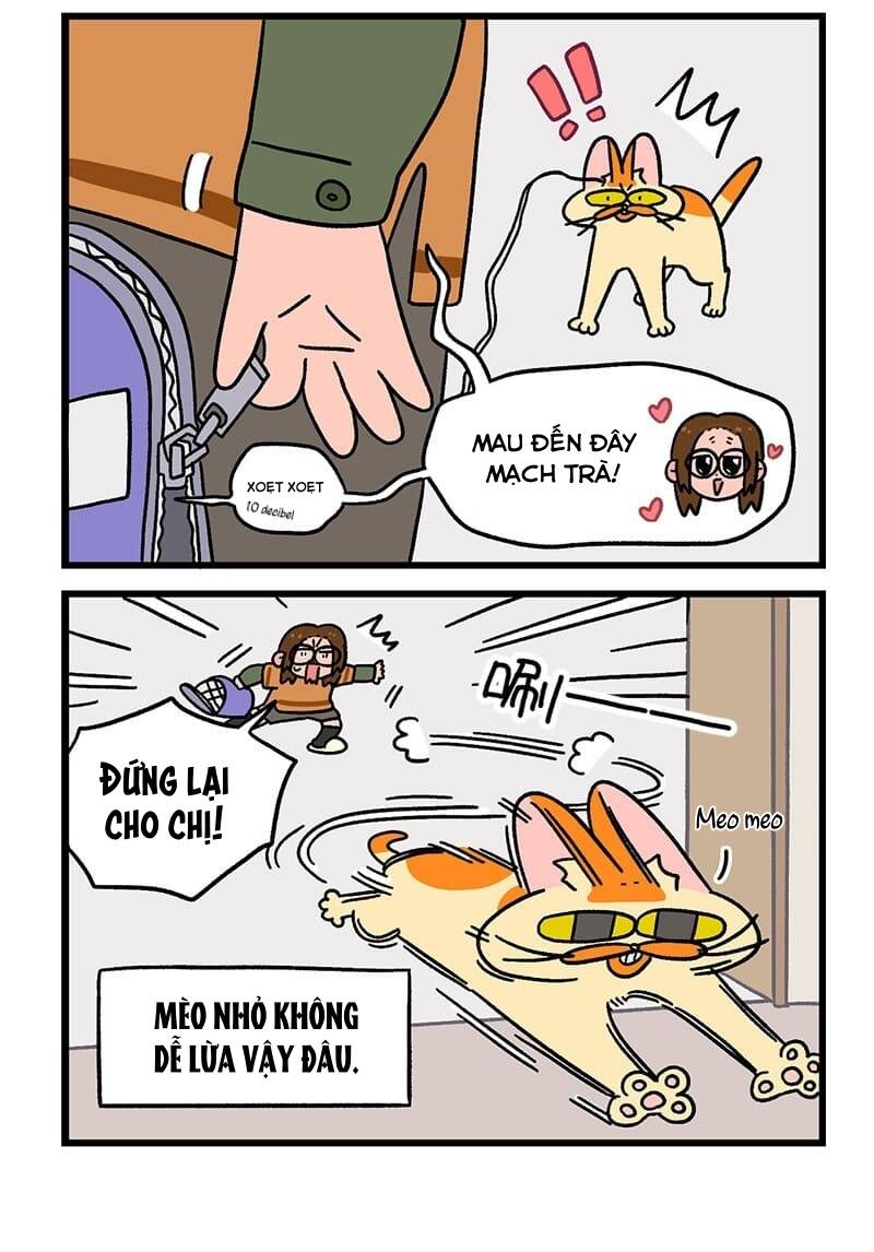 A Mãn Và Mạch Trà Chapter 55 - Trang 2