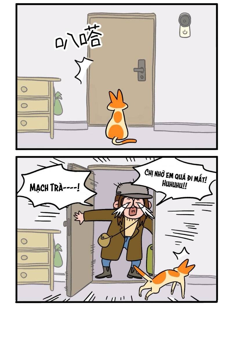 A Mãn Và Mạch Trà Chapter 6 - Trang 2