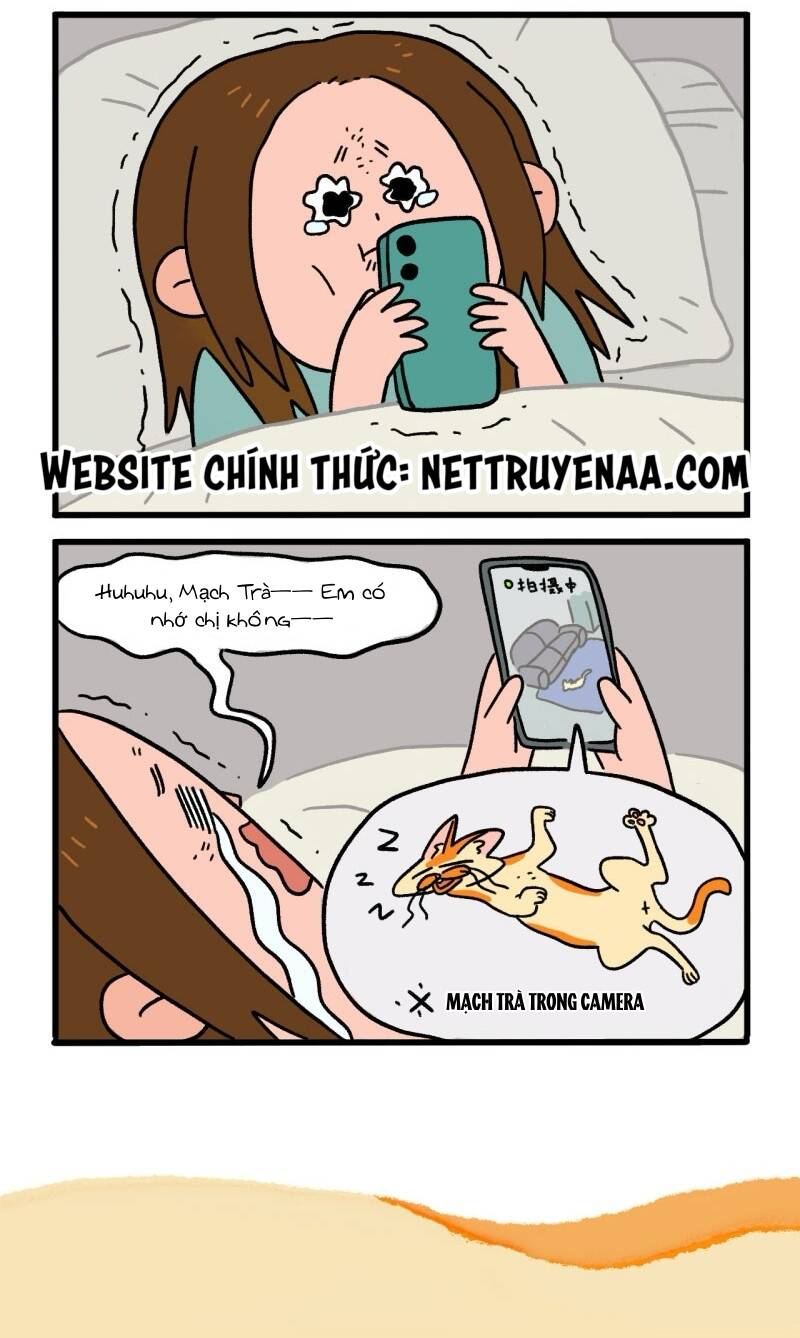 A Mãn Và Mạch Trà Chapter 6 - Trang 2