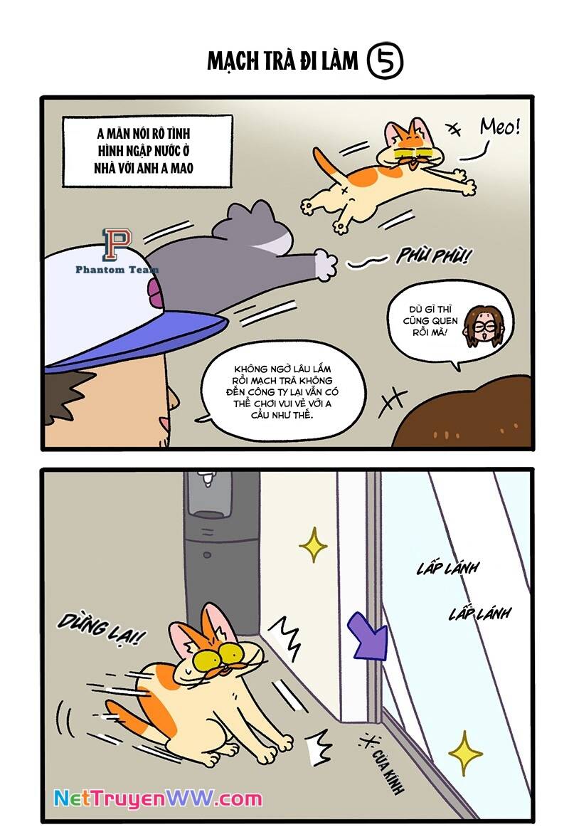 A Mãn Và Mạch Trà Chapter 63.1 - Trang 2