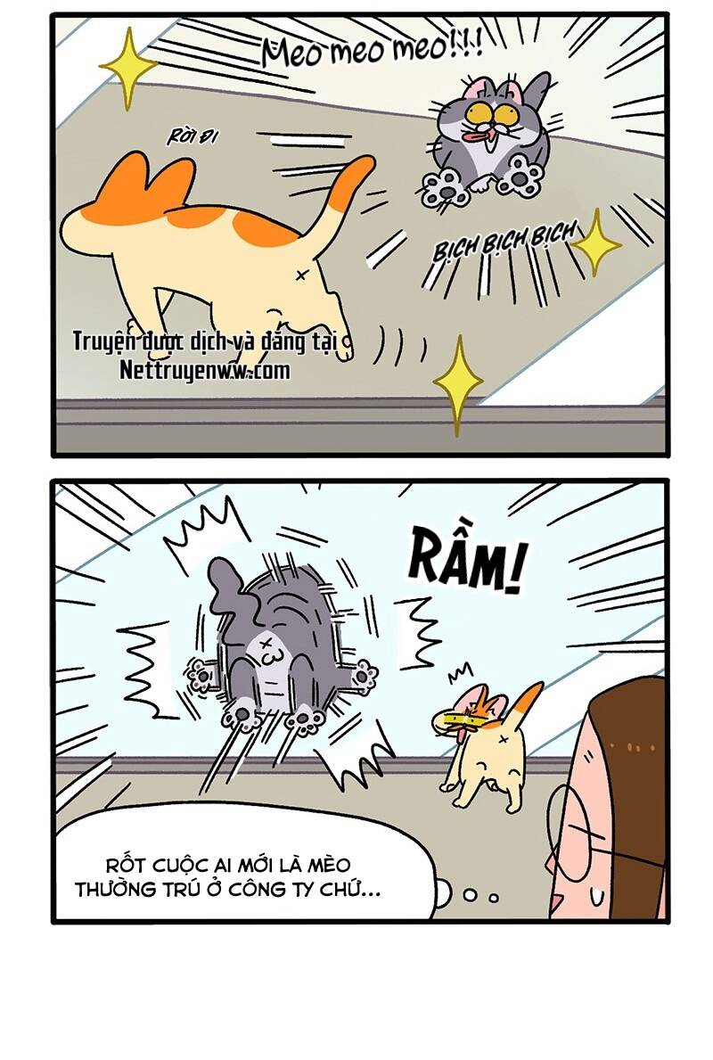 A Mãn Và Mạch Trà Chapter 63.1 - Trang 2