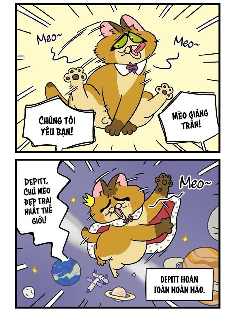 A Mãn Và Mạch Trà Chapter 64.1 - Trang 2