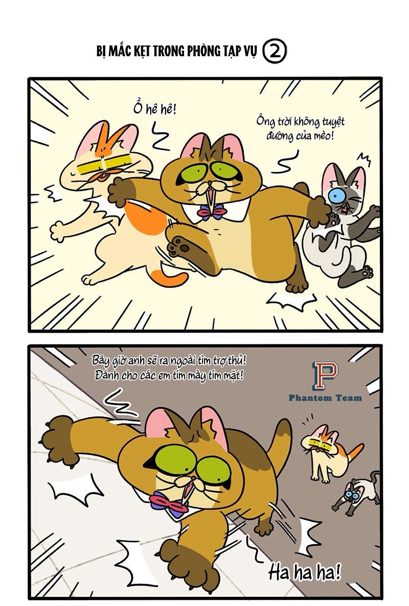 A Mãn Và Mạch Trà Chapter 70 - Trang 2