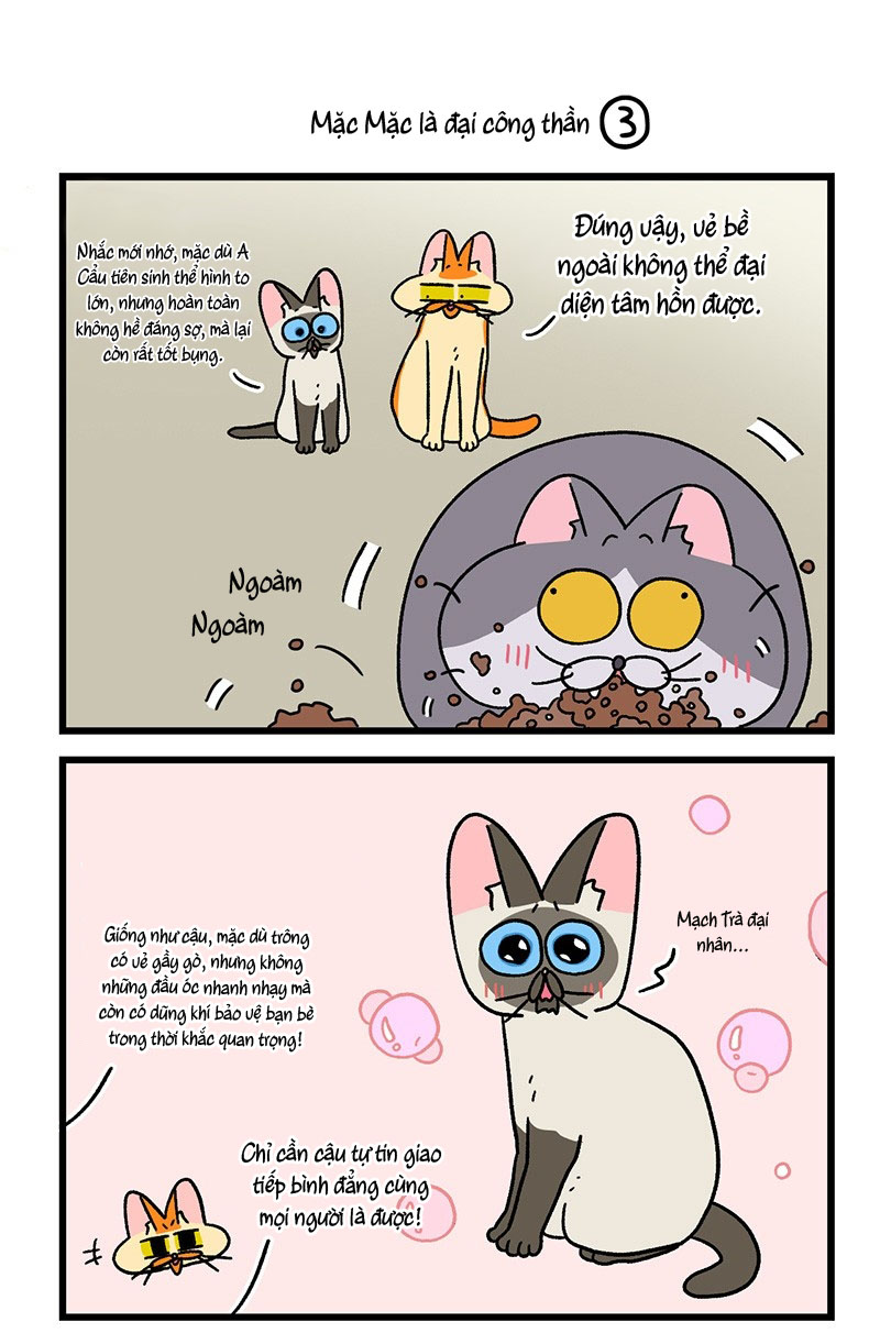 A Mãn Và Mạch Trà Chapter 79 - Trang 2