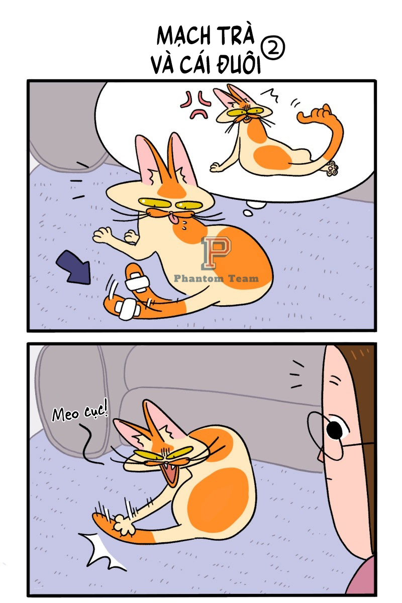 A Mãn Và Mạch Trà Chapter 8 - Trang 2