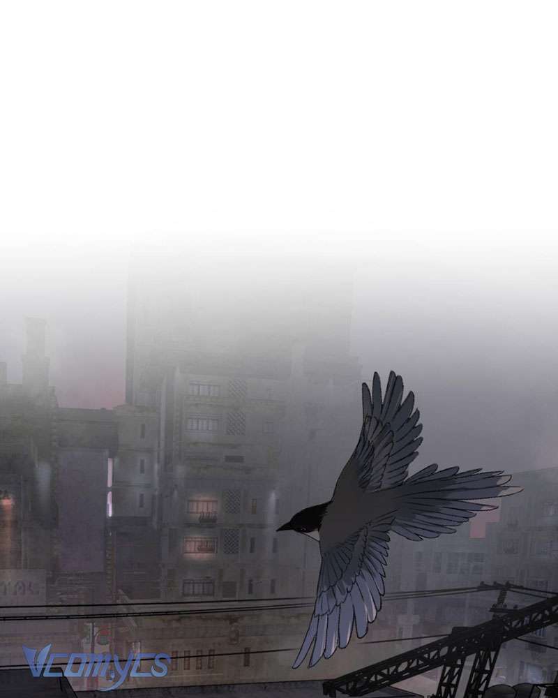 Ác Chi Hoàn Chapter 5 - Trang 2