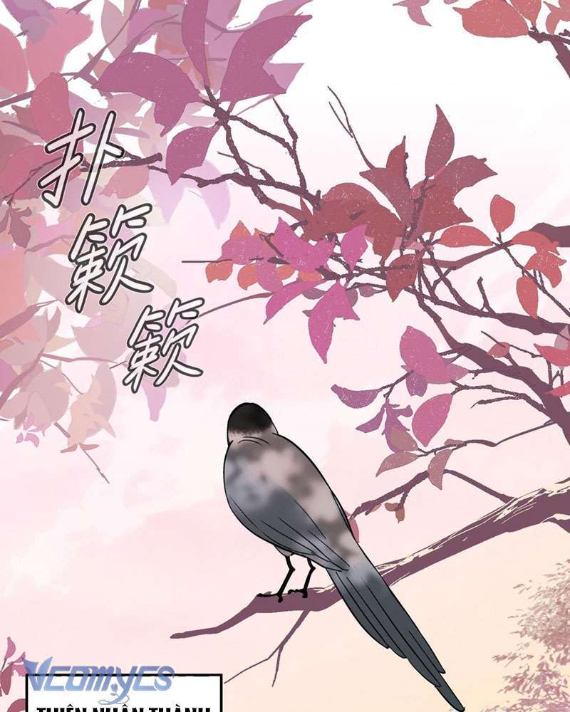 Ác Chi Hoàn Chapter 9 - Trang 2